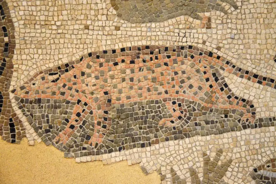 Museo della città "Luigi Tonini"