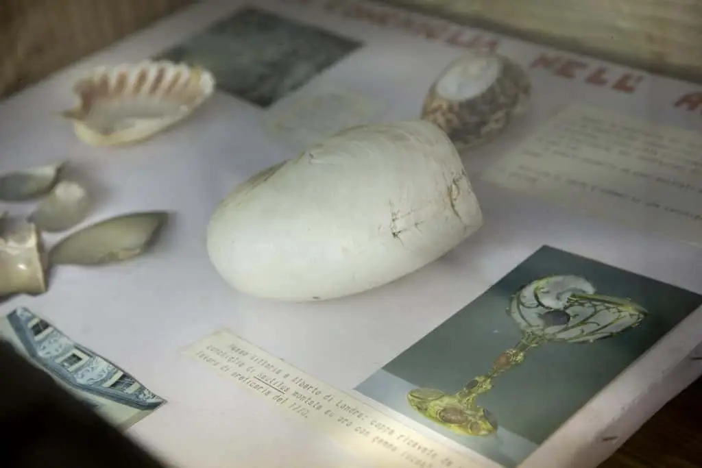 Museo delle conchiglie