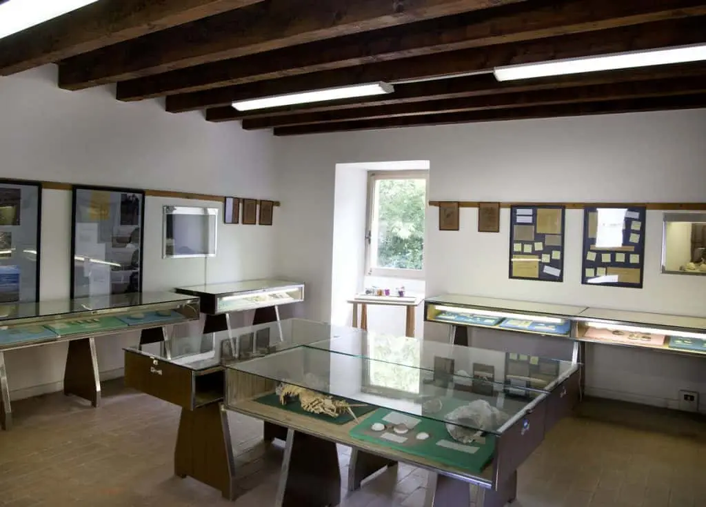 Museo delle conchiglie