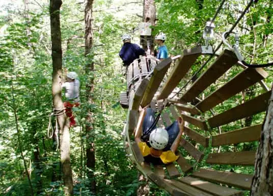 Ragazzi scalano un albero