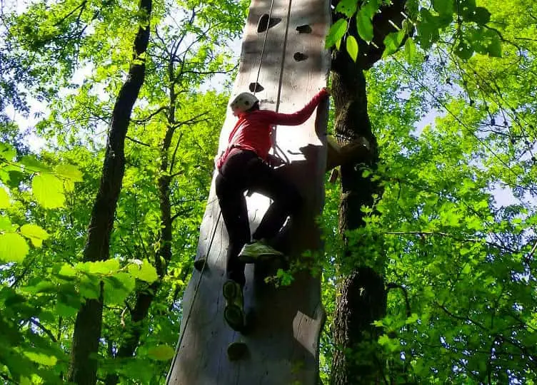 Scalata di un albero in mezzo al verde