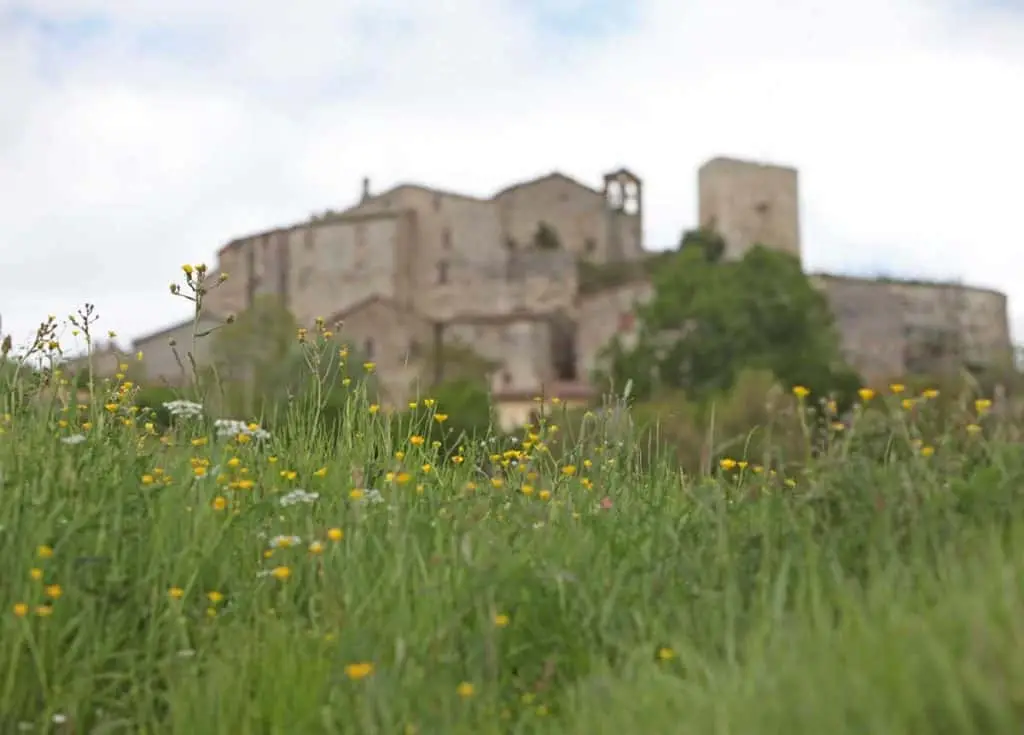 Borgo Petrella Guidi