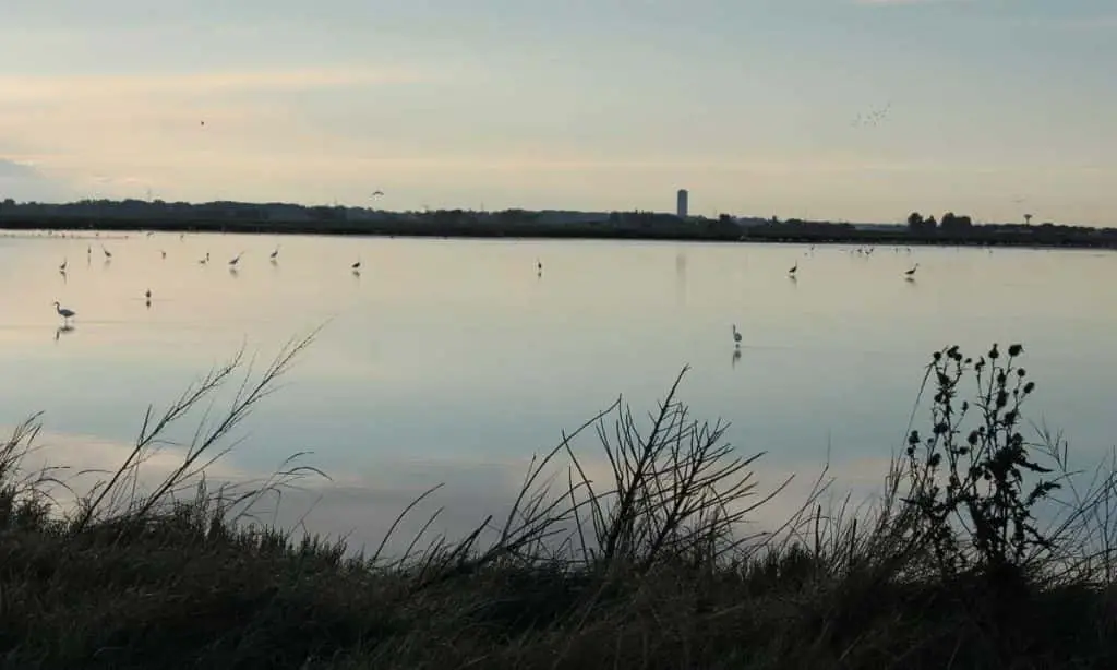 Delta del Po - Centro Visite Saline di Cervia
