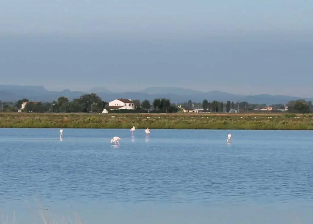 Delta del Po - Centro Visite Saline di Cervia
