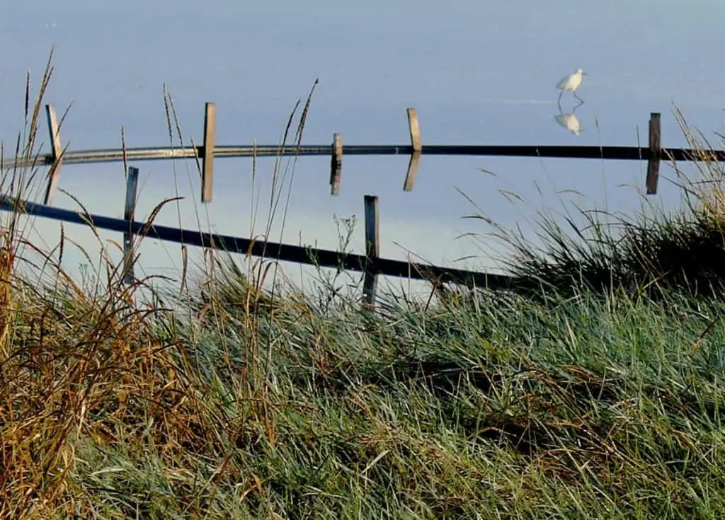Saline di Cervia