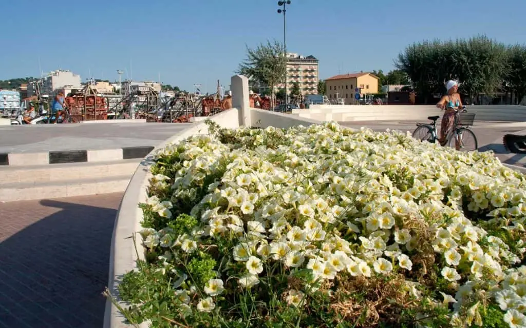 Cattolica
