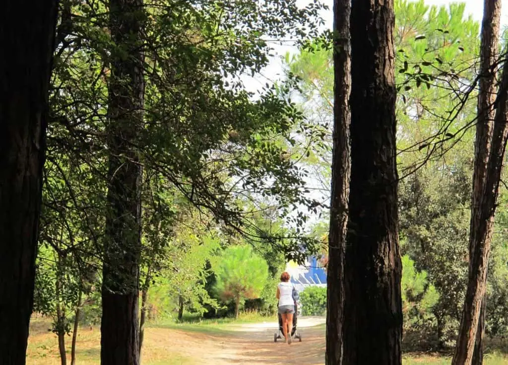 Pineta di Cervia