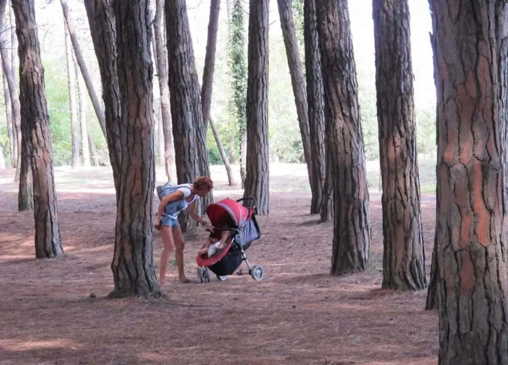 Pineta di Cervia