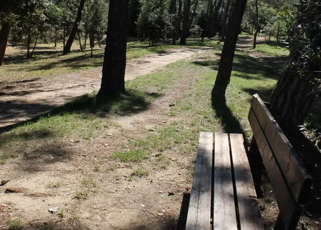 Pineta di Cervia