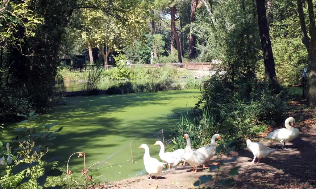 Parco Naturale di Cervia