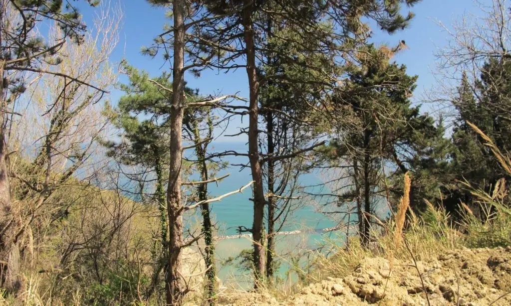 Fiorenzuola di Focara