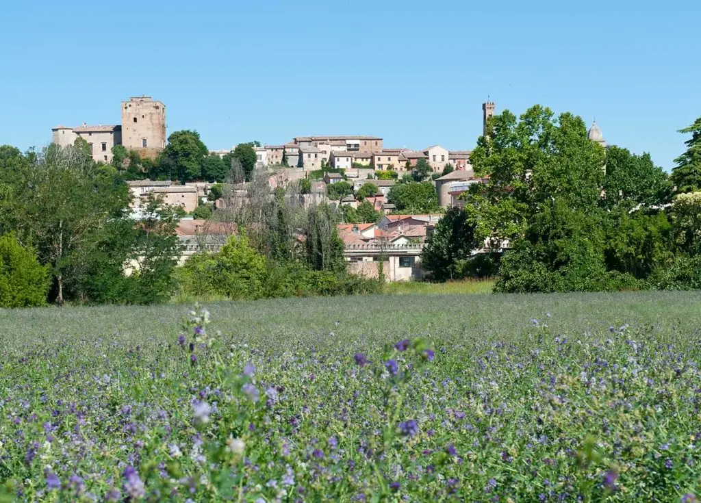 Tour di Santarcangelo Misteriosa