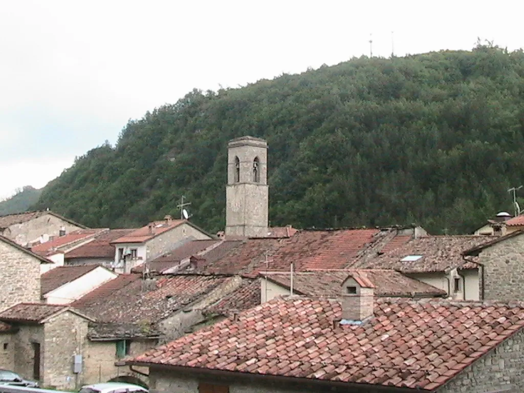 Tetti del centro storico di Bagno di Romagna tra il verde dei colli