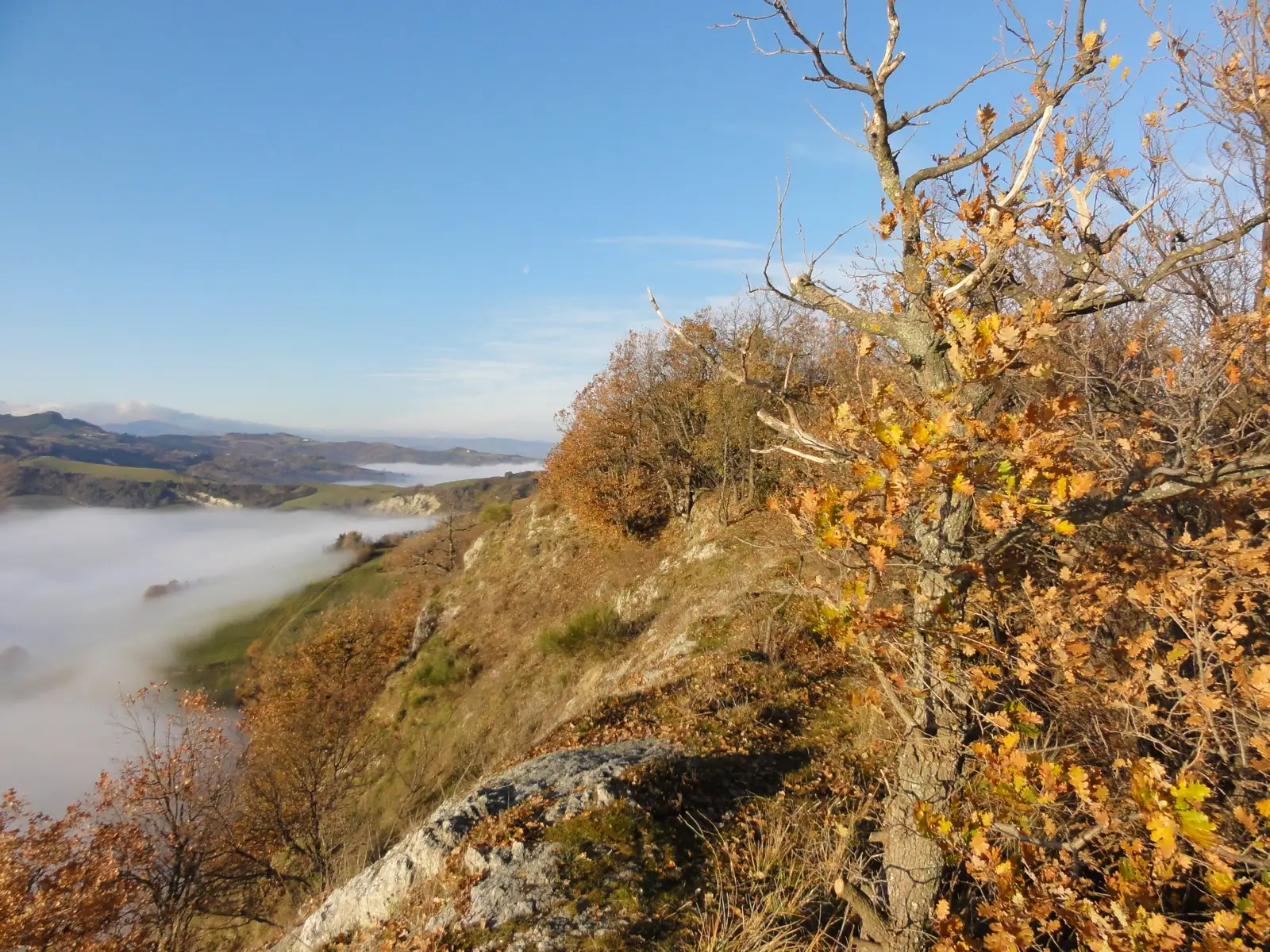 La dorsale di roccia gessosa della Vena del Gesso vista dall'alto sopra Borgo Rivola