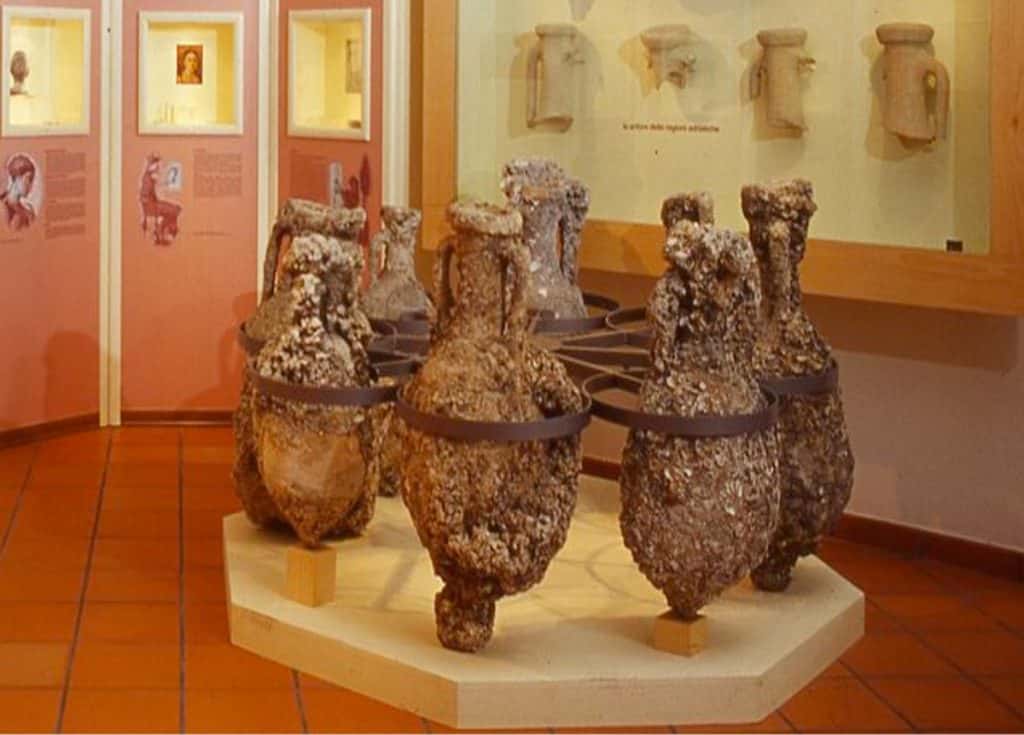 Anfore romane al Museo della Regiina