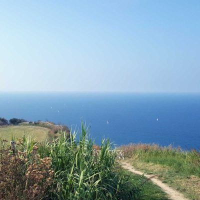 vista panoramica